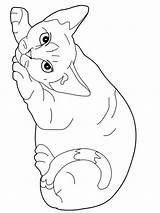 Coloring Cat Pages Cats Rex Animals Kids Fluffy Devon Print Colouring Printable Color Animal Drawings Getcolorings Mammals Printables Drawing Colors sketch template