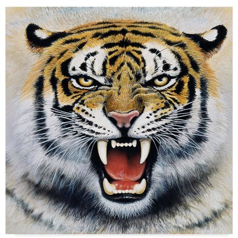 trademark art tiger portrait  acrylic painting print  wrapped