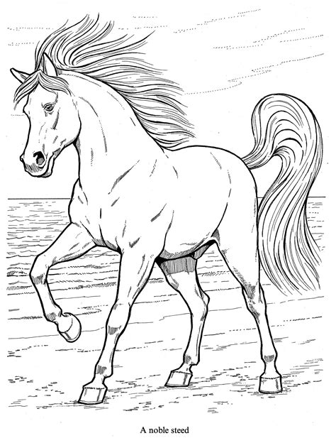realistic hard horse coloring pages hard coloring pages  realistic