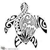 Turtle Tattoo Sea Hawaiian Tribal Samoan Drawing Designs Maori Polynesian Tattoos Honu Turtles Drawings Getdrawings Ray Tattootribes Meaning Manta Color sketch template