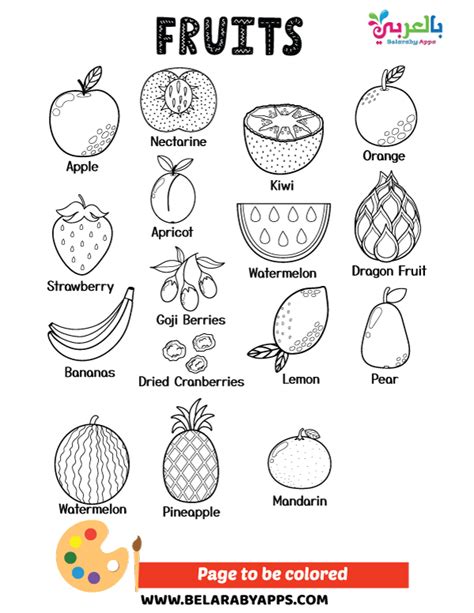 printable fruits coloring pages  kindergarten  belarabyapps