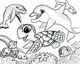 Coloring Sea Pages Animals Realistic Life Creatures Underwater Creature Ocean Getcolorings Marine Color Printable sketch template