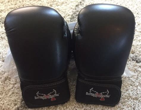 Century I Love Kickboxing Adult Mma Boxing Style Gloves 12 Oz For Sale