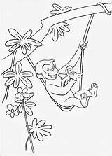 Macaco Comendo Desenho sketch template