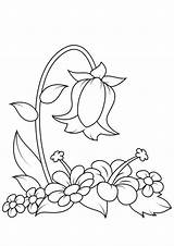 Colouring Floral sketch template