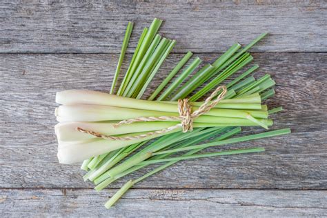 lemongrass history nutrition facts health benefits side effects