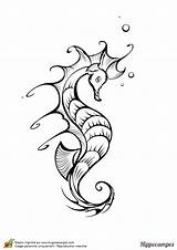 Hippocampe Colorier Hugolescargot Hyppocampe Poisson Adulte Tatouage Croquis Encre sketch template