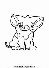 Coloring Pages Pig Moana Pua Printable Template Alpha Print Online Getcolorings Color sketch template