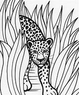 Jungle Coloring Pages Scene Printable Plants Elephant Getcolorings Getdrawings sketch template