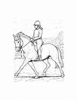 Horse Coloring Pages Riding Jockey Getcolorings Racing Getdrawings Head sketch template