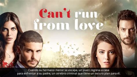Netflix Novedades 📢 On Twitter Can T Run From Love