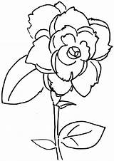 Coloring Rose Flower Pages Roses Bud Color Drawing Printable Colouring Magnolia Super Getdrawings Clipart Appealing Colorings Clipartbest Getcolorings Unique Kids sketch template