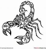 Scorpion Tattoos Scorpio Tribal Tattoo Outline Designs Meaning Cool Drawing Scorpions Symbol Findtattoodesign Tatoos Escorpion Quotes Small Women Tatoo Skull sketch template
