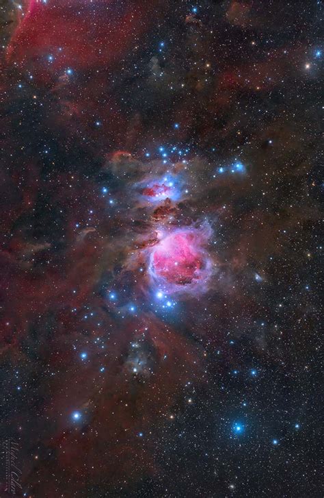 magnificent orion nebula astronomy
