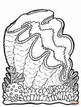 Clam Giant Coloring Pages Iron Supercoloring Printable Clams Drawing Color Getcolorings Detailed sketch template