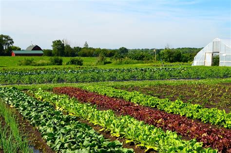 pertanian organik sebagai  depan pertanian farmingcenter