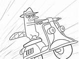 Perry Platypus Coloring Pages Ferb Phineas Kids Print Printable Color Scooter Colouring Driving Clipart Disney Amp Da Getdrawings Library Getcolorings sketch template