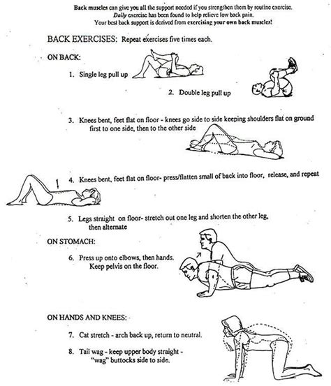 78 Best Images About Lower Back Pain Exercises For Men On Pinterest