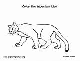 Lion Coloring Mountain Exploringnature sketch template