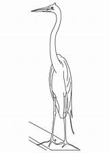 Egret Coloring Chinese sketch template