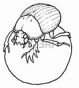 Beetle Dung Scarab Drawing Coloring Designlooter Clipart 450px 57kb Getdrawings Paintingvalley sketch template