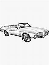 Cutlass Redbubble Features Supreme Oldsmobile Muscle Illustration Car sketch template