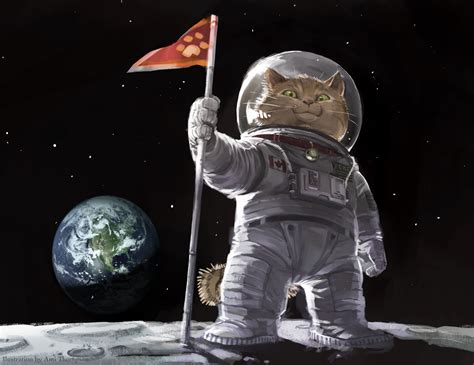 space kitty astro cats space cat cats cat art