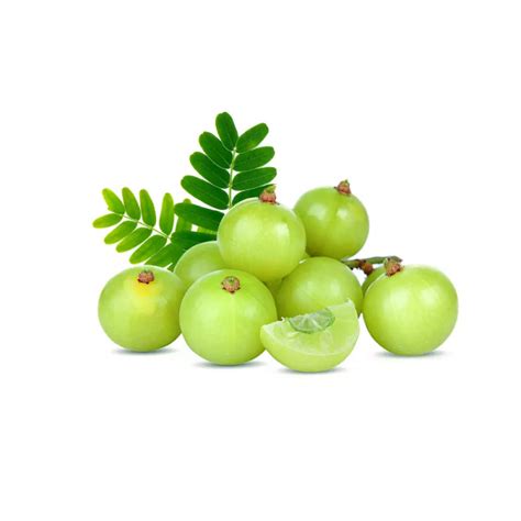 buy usiri amla   visakhapatnam   price vizaggrocerscom fruits