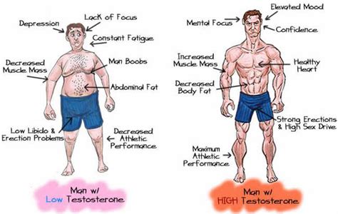 don t even try to increase your testosterone levels unless