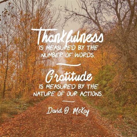 thankfulness quotes pictures   images  facebook tumblr
