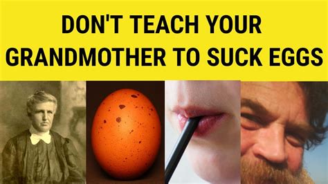 🔵 Don T Teach Your Grandmother To Suck Eggs Meaning Don T Teach Your