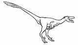 Gorgosaurus Dromaeosaurus sketch template