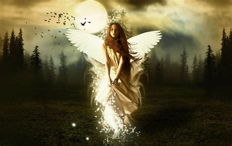 Best Desktop Hd Wallpaper Angel Photo Wallpapers