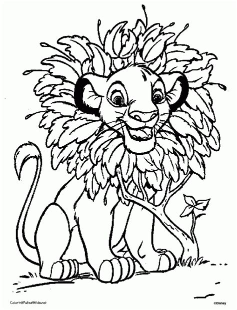 baby simba coloring pages coloring home