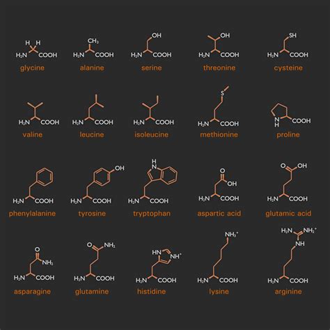 learn  amino acid structures