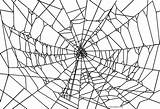 Spider Ausmalbilder Spinne Spinnen Cool2bkids Spinnennetz Ausdrucken sketch template