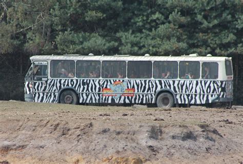 safari bus zoochat