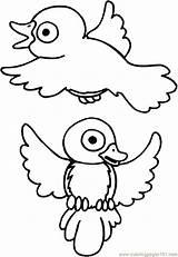 Coloring Bird Pages Birds Printable Kids Inchworm Color Colouring Animals Sheets Chicks Puppies Cartoon Theme Books Clipart Simple Library Spiral sketch template