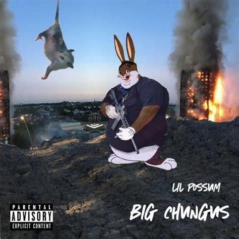 lil possum big chungus lyrics genius lyrics