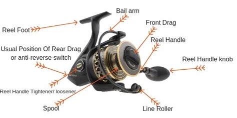 baitcaster  spinning reel  pros  cons buying guide