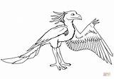 Archaeopteryx Coloring Pages Cartoon Compsognathus Dinosaurs Drawing Printable Supercoloring Categories sketch template