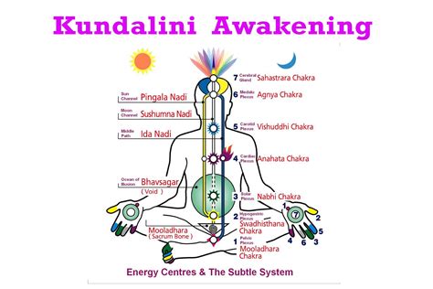 awakening  kundalini learn   kundalini yoga