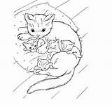 Coloring Pages Baby Cat Cute Animal Cats Print Adorable Ages Diposting Oleh Admin Di Comments Coloringhome Komentar sketch template