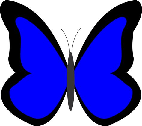 blue butterfly clipart clipart