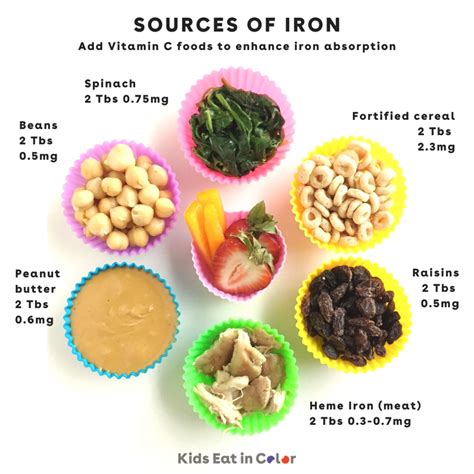 iron rich foods  babies toddlers kids kids eat  color