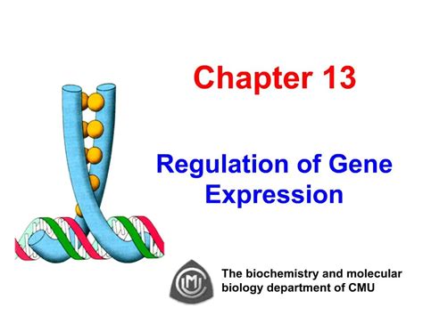 chapter  regulation  gene expression powerpoint  id