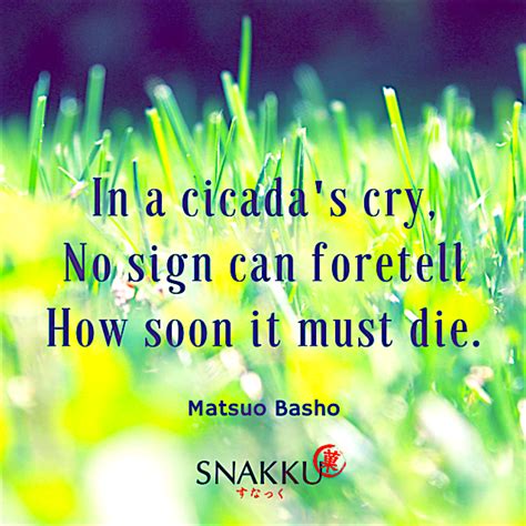 japanese haiku poem  matsuo basho showing  fragility  life