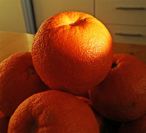 seville oranges trip  travel