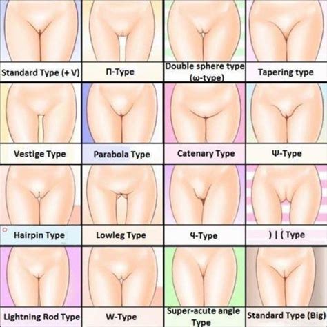 what is the best type of pussy best porno