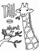 Tall Opposites Preschool öncesi Elişi Okul sketch template